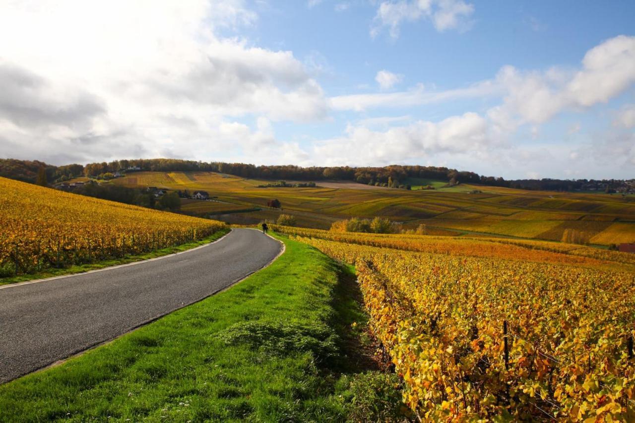 Hostellerie Briqueterie & Spa Champagne Vinay  Buitenkant foto Vineyards in the Moselle valley